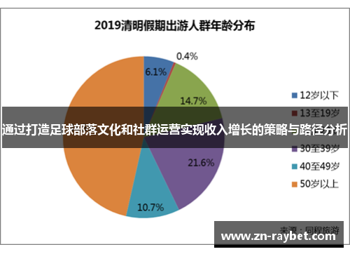 通过打造足球部落文化和社群运营实现收入增长的策略与路径分析
