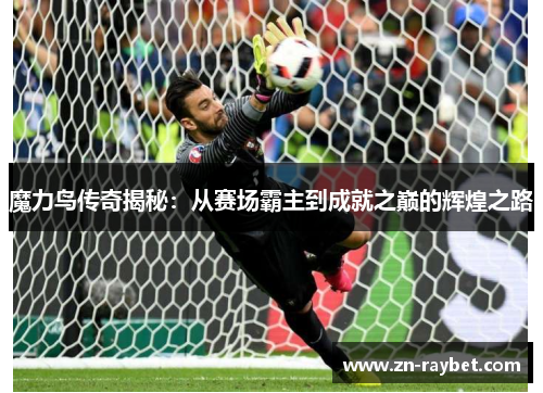 魔力鸟传奇揭秘：从赛场霸主到成就之巅的辉煌之路