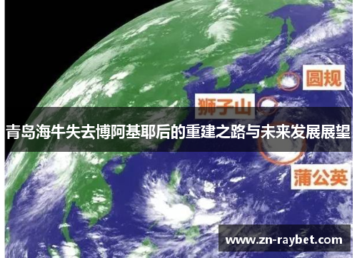 青岛海牛失去博阿基耶后的重建之路与未来发展展望 青岛海牛失去博阿基耶后的重建之路与未来发展展望