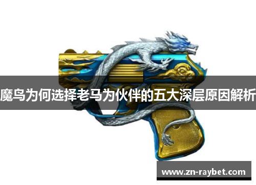 魔鸟为何选择老马为伙伴的五大深层原因解析